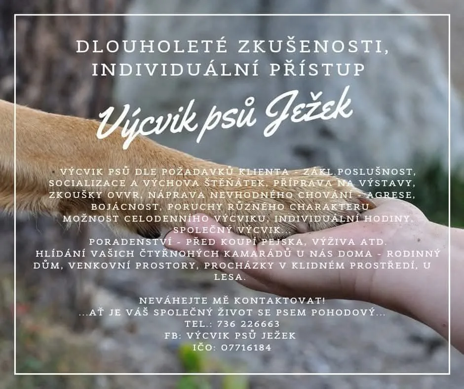 Výcvik psů Ježek - Prostějov pet otel