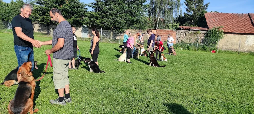 Výcvik psů Ježek - Prostějov pet otel görseli 3