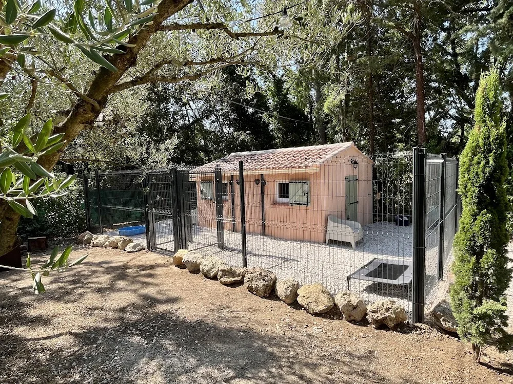 Chez Vaya | Pension Canine Familiale & Dog Resort - Provence-Alpes-Côte-d’Azur pet otel