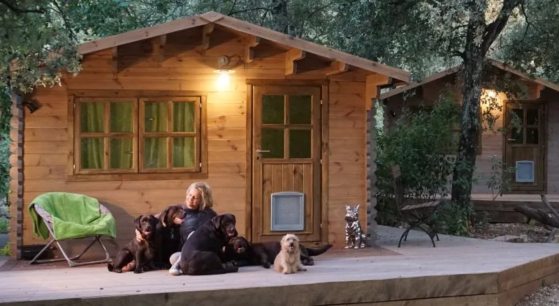 Doggy Lodges - Provence-Alpes-Côte-d’Azur pet otel görseli 3