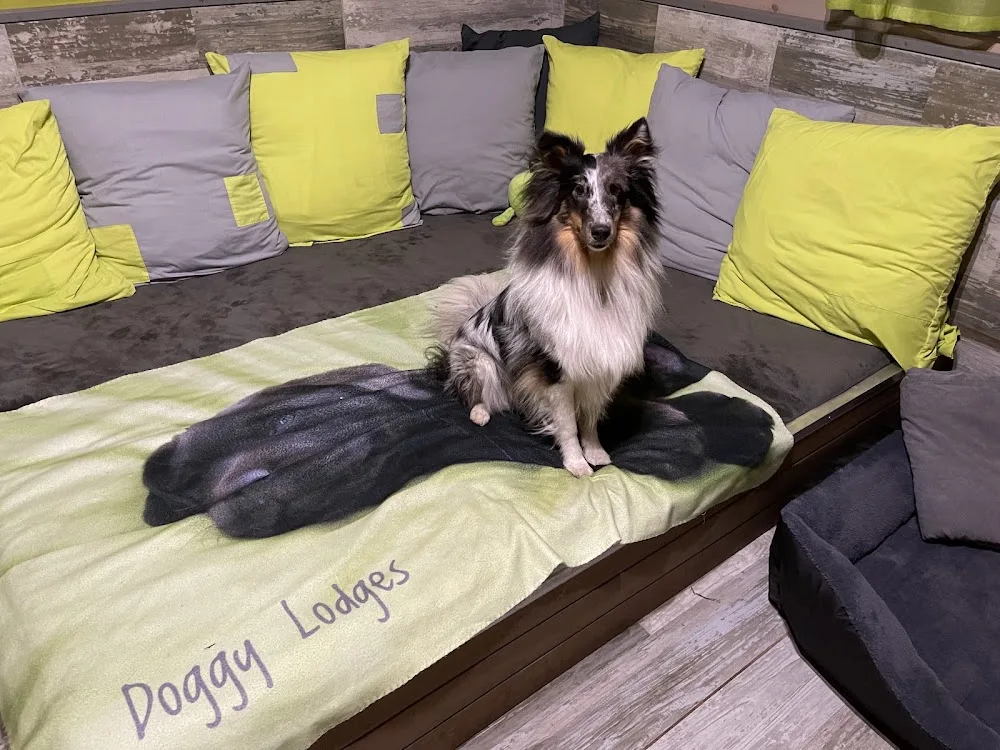 Doggy Lodges - Provence-Alpes-Côte-d’Azur pet otel görseli 6