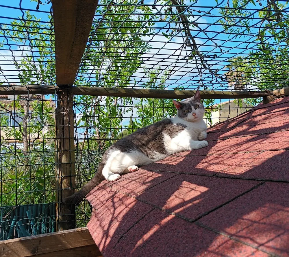 Dominici Delphine - Provence-Alpes-Côte-d’Azur pet otel görseli 7