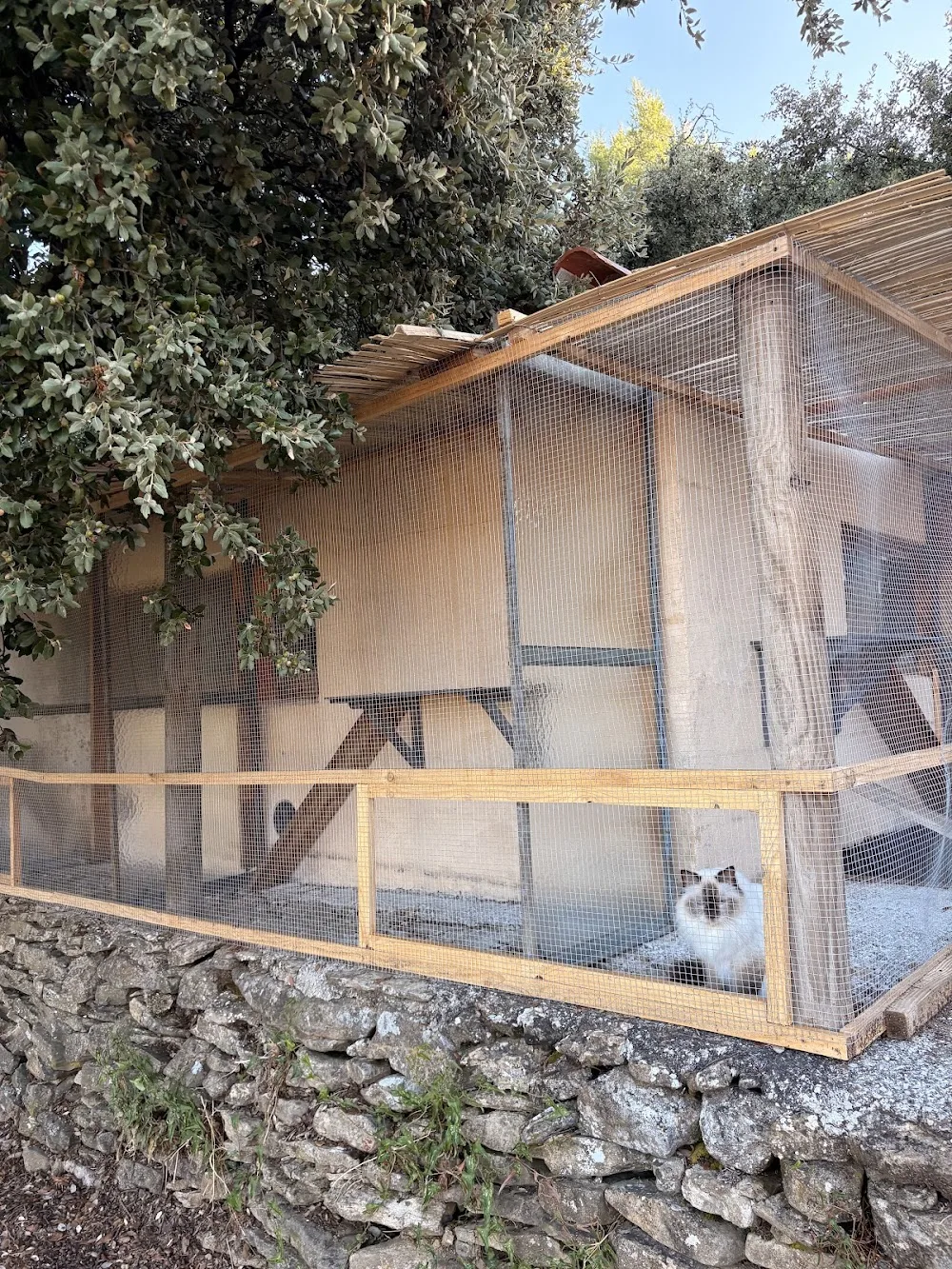 Hotel pension pour chats - Chez pépé & babou - Provence-Alpes-Côte-d’Azur pet otel