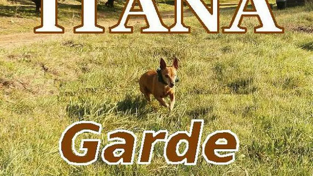 ITANA garde animaux - Provence-Alpes-Côte-d’Azur pet otel görseli 6