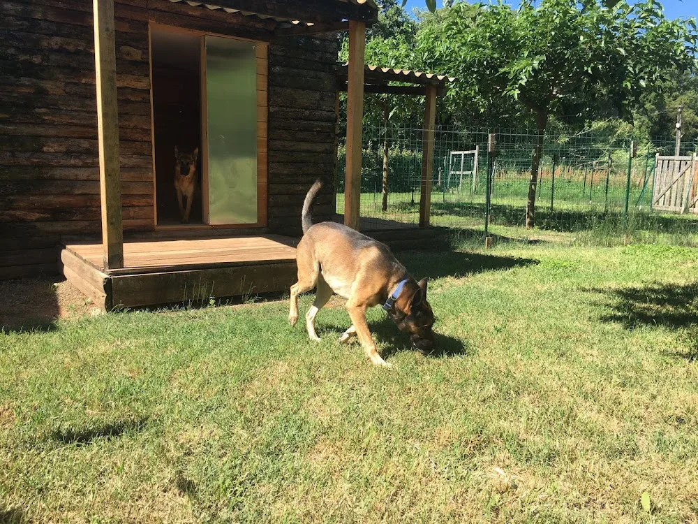 ITANA garde animaux - Provence-Alpes-Côte-d’Azur pet otel görseli 7
