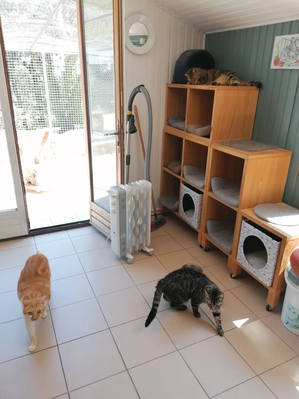 la Gouttière - Provence-Alpes-Côte-d’Azur pet otel görseli 3