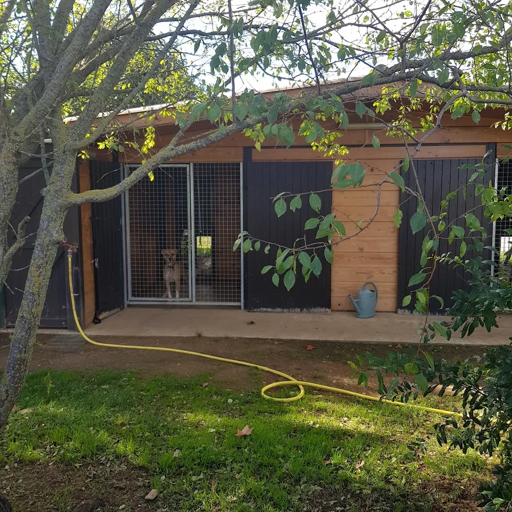 Pension Canine De La Loube - Provence-Alpes-Côte-d’Azur pet otel görseli 6