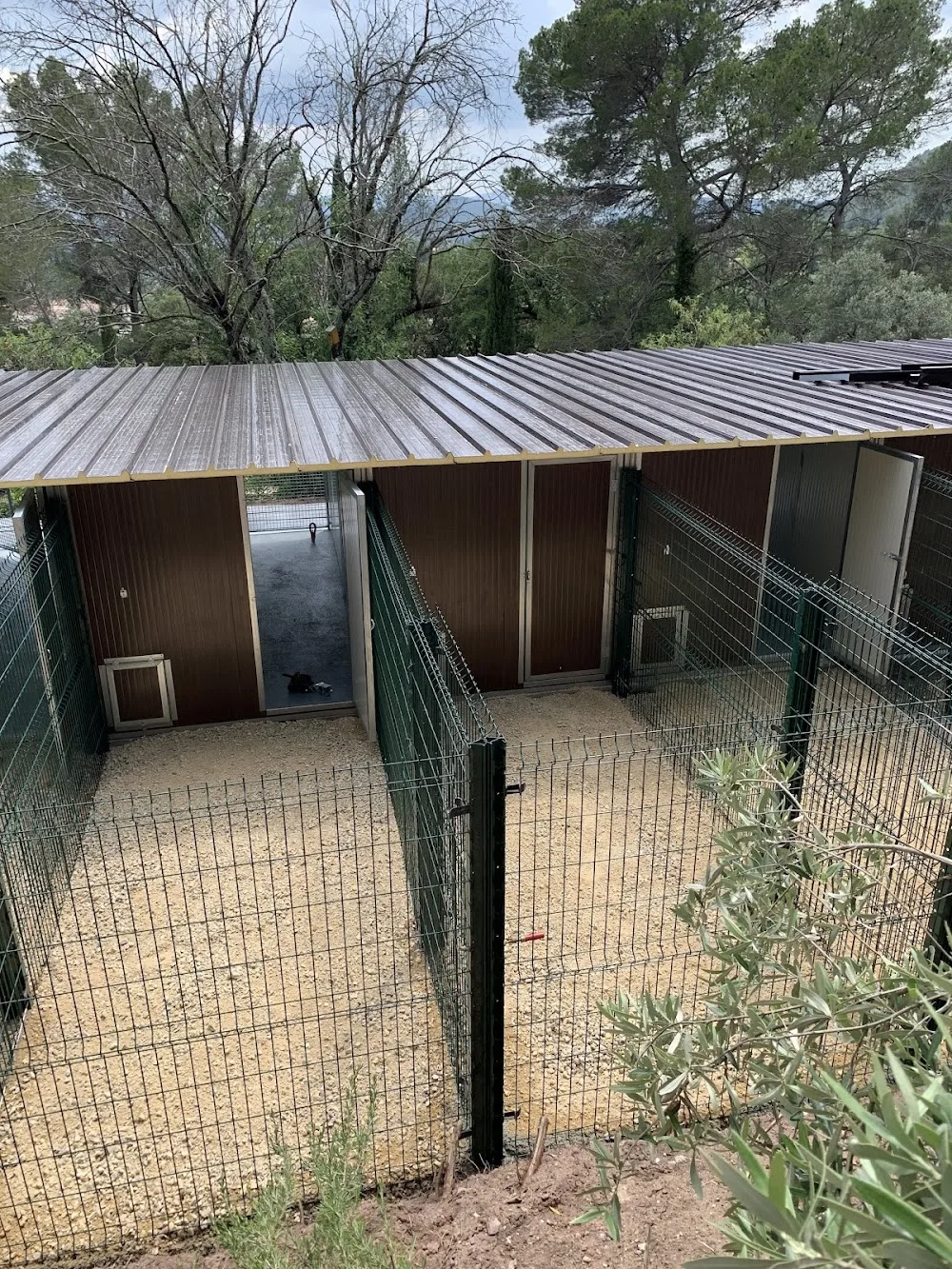 Pension Canine et Toilettage SAMARA - Provence-Alpes-Côte-d’Azur pet otel görseli 6