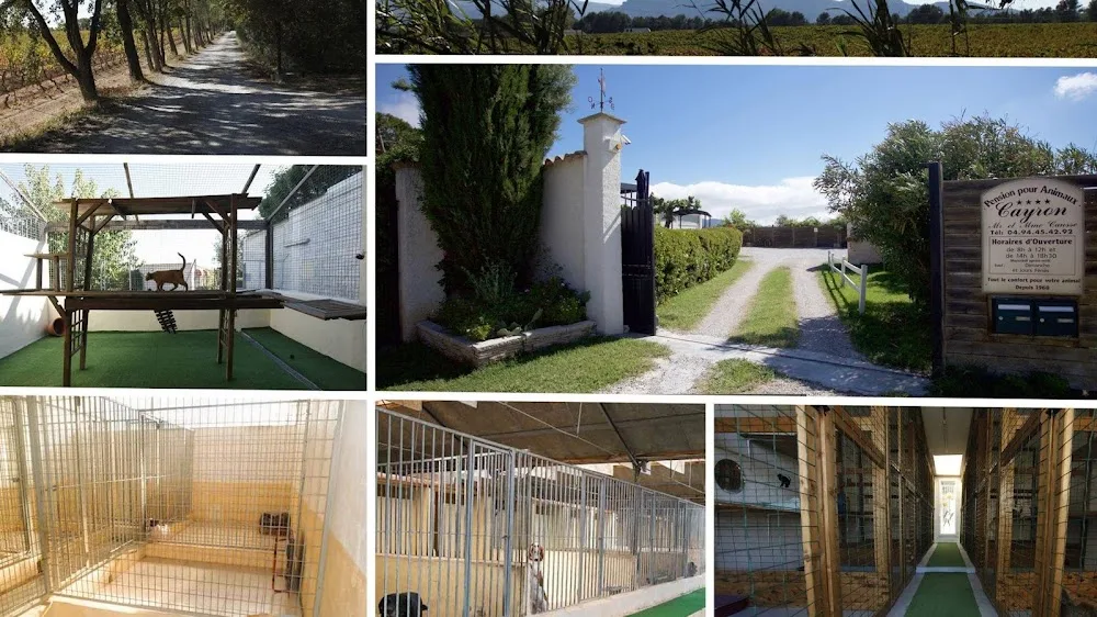 Pension chiens et chats cayron - Provence-Alpes-Côte-d’Azur pet otel görseli 6