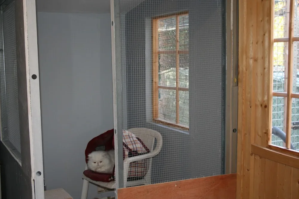 pension féline Chat' lheureuse - Provence-Alpes-Côte-d’Azur pet otel görseli 7
