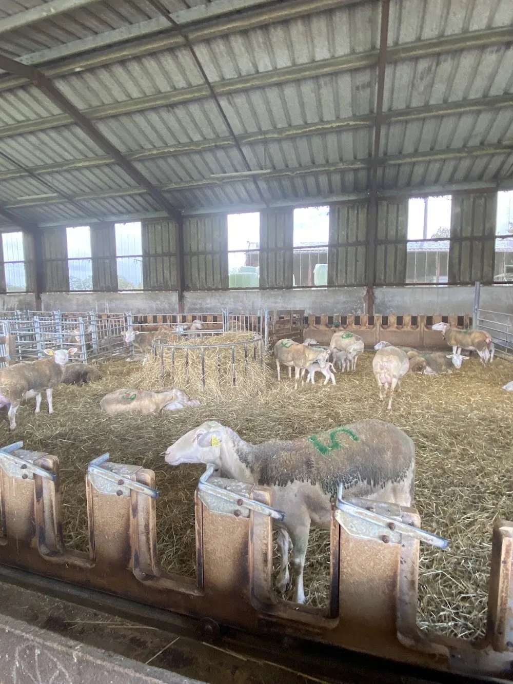 FERME LA CLE DES CHAMPS - Pyrénées-Atlantiques pet otel görseli 2