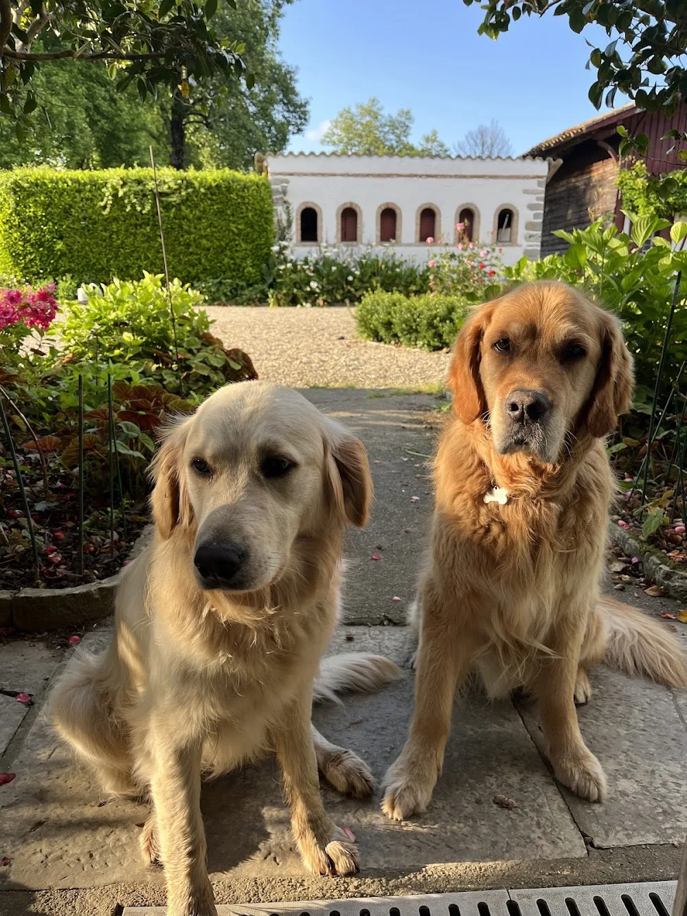 FERME LA CLE DES CHAMPS - Pyrénées-Atlantiques pet otel görseli 3