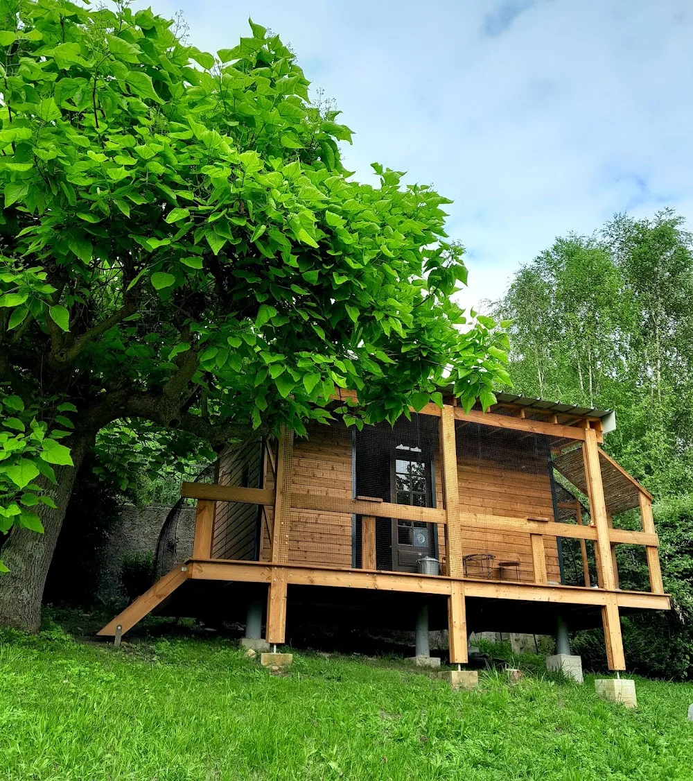 Les Ronrons de Cuqueron (Pension pour chat) - Pyrénées-Atlantiques pet otel görseli 3