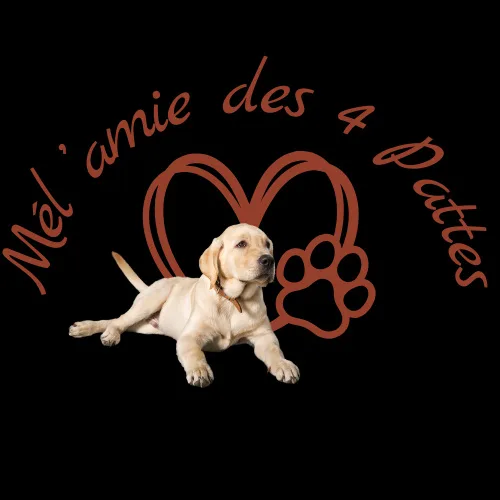 Mél'amie des 4 Pattes - Pyrénées-Atlantiques pet otel görseli 2