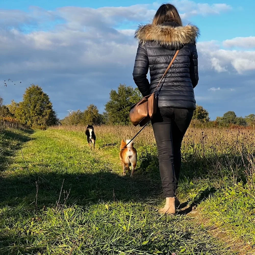 Pattoune chez soi - Garde à votre domicile, Visite et Promenade - Chien & Chat Pau & Alentours - Pyrénées-Atlantiques pet otel görseli 3