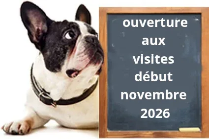 chiens au vert66 - Pyrénées-Orientales pet otel