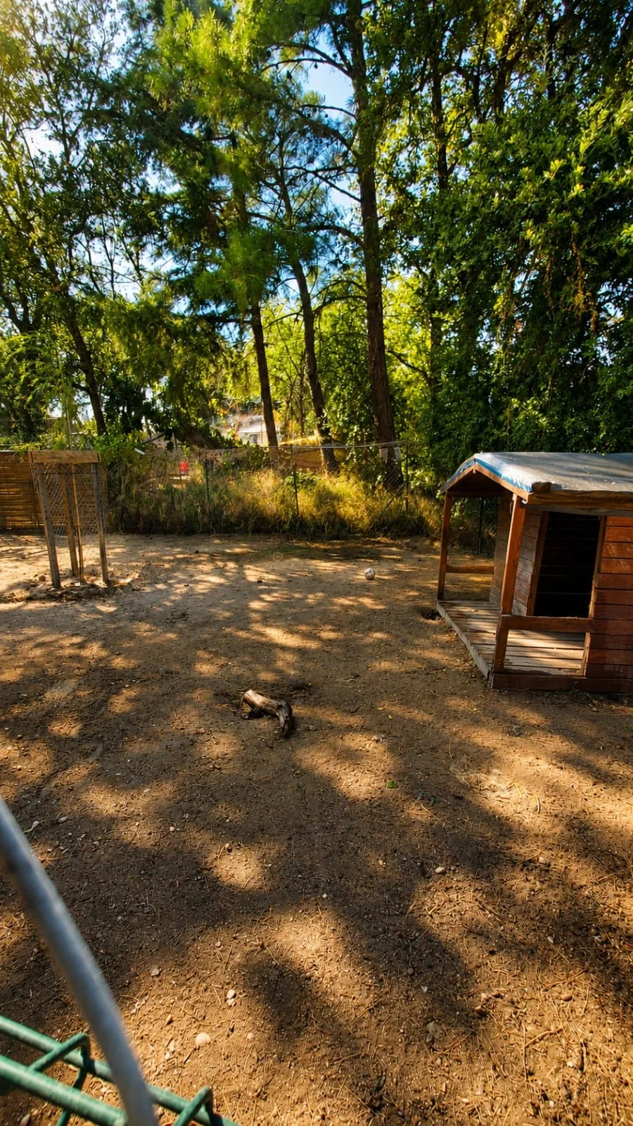 K2 NATURE Elevage et Pension Canine (ACCÈS et VISITES UNIQUEMENT SUR RENDEZ-VOUS) - Pyrénées-Orientales pet otel görseli 2