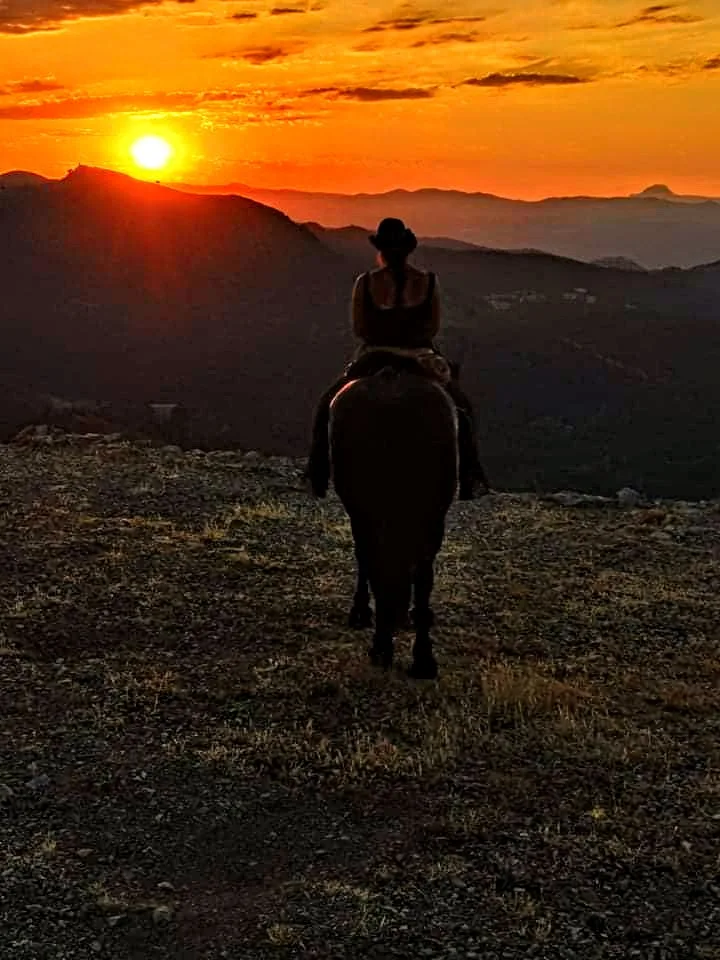 Le Clan d'Epona - Pension chevaux - Rééducation - Pyrénées-Orientales pet otel