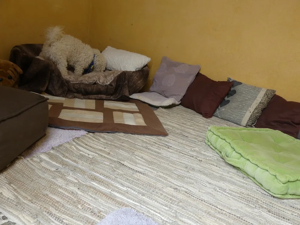 Pension Animaux 66 - Pyrénées-Orientales pet otel görseli 3