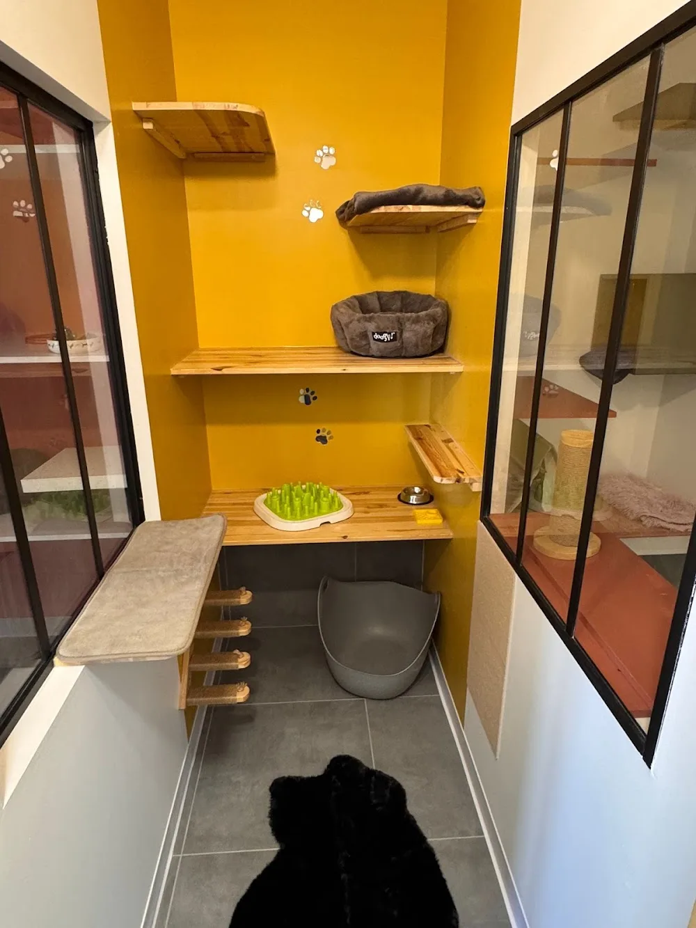Sérénité Féline - Hôtel pour chats, Comportementaliste spécialiste du chat - Pyrénées-Orientales pet otel görseli 3