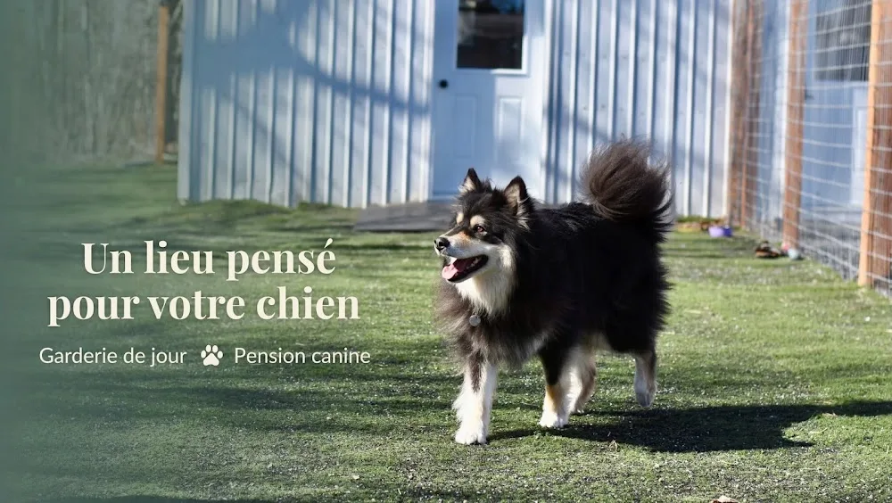 Auberge Canine des Prés - Quebec pet otel