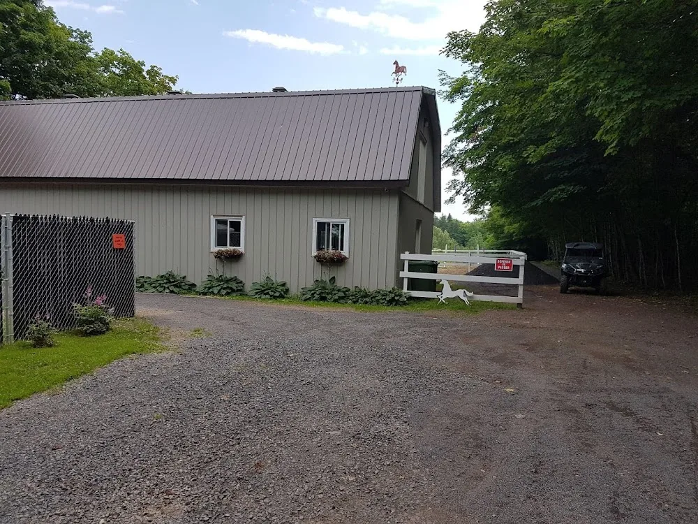 Pension Maya Canin - Quebec City pet otel görseli 3