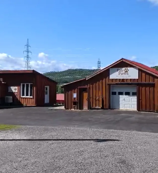 FabPaws - Pension et garderie pour chiens - Quebec pet otel görseli 3