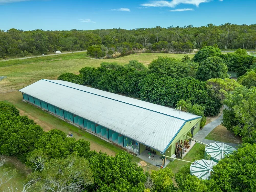 4 Way Kennels and Canine Wellness Centre - Queensland pet otel
