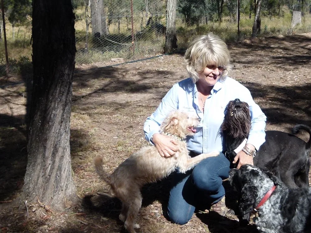 Barkingham Palace Boarding Kennels - Queensland pet otel
