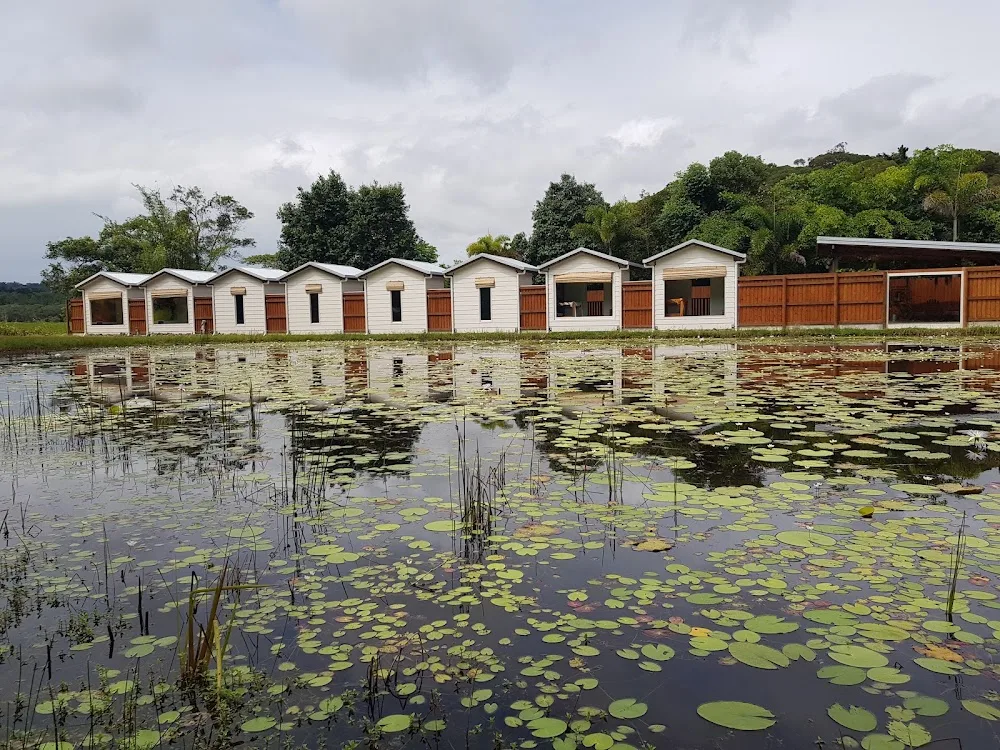 Canine Cabins - Queensland pet otel görseli 2