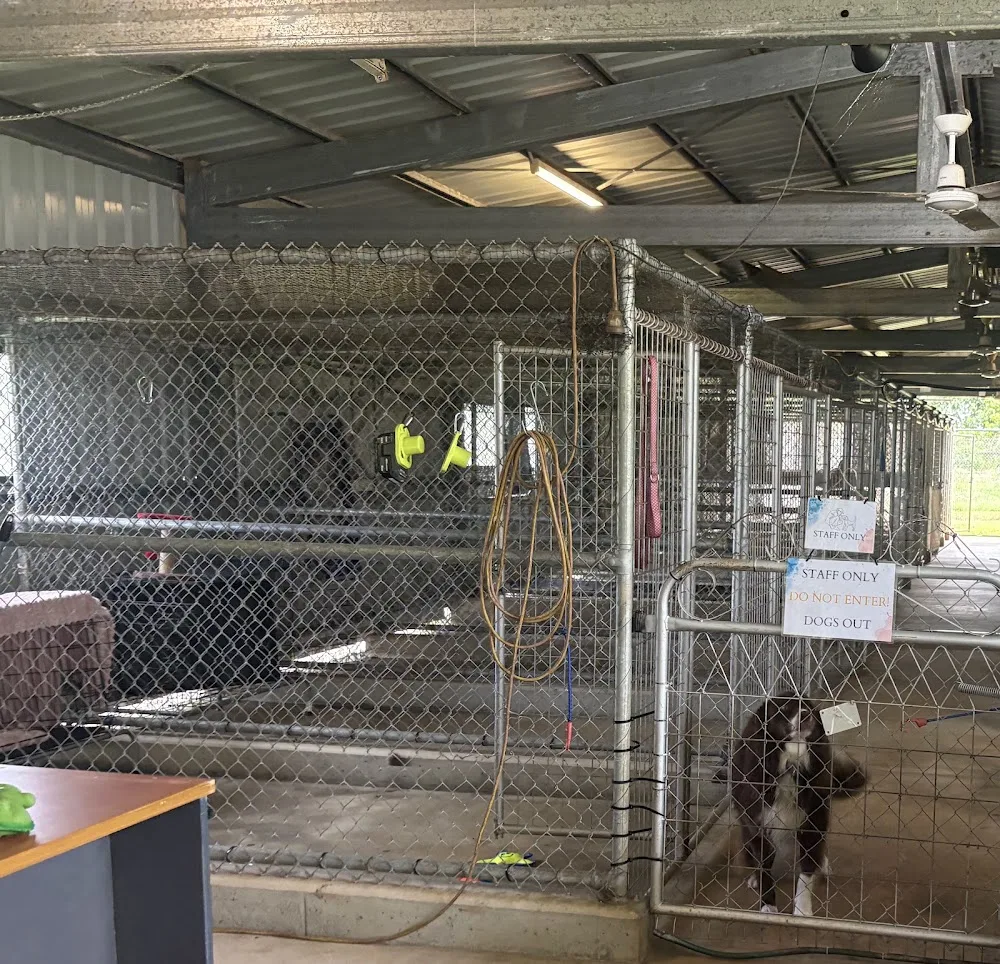 Cassowary Coast Boarding Kennels - Queensland pet otel