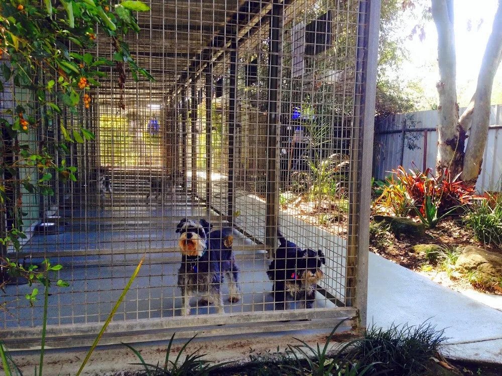 Country Pet Motel - Queensland pet otel