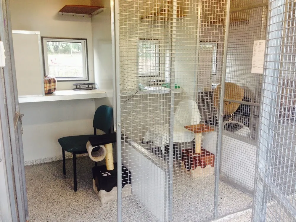 Country Pet Motel - Queensland pet otel görseli 3
