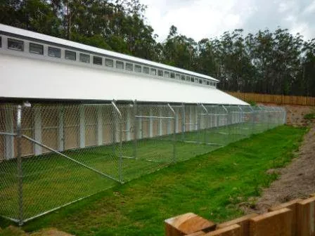 Glasshouse Pet Retreat - Queensland pet otel görseli 2