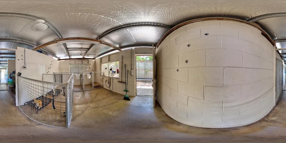 Jaimon Boarding Kennels & Cattery - Queensland pet otel görseli 3