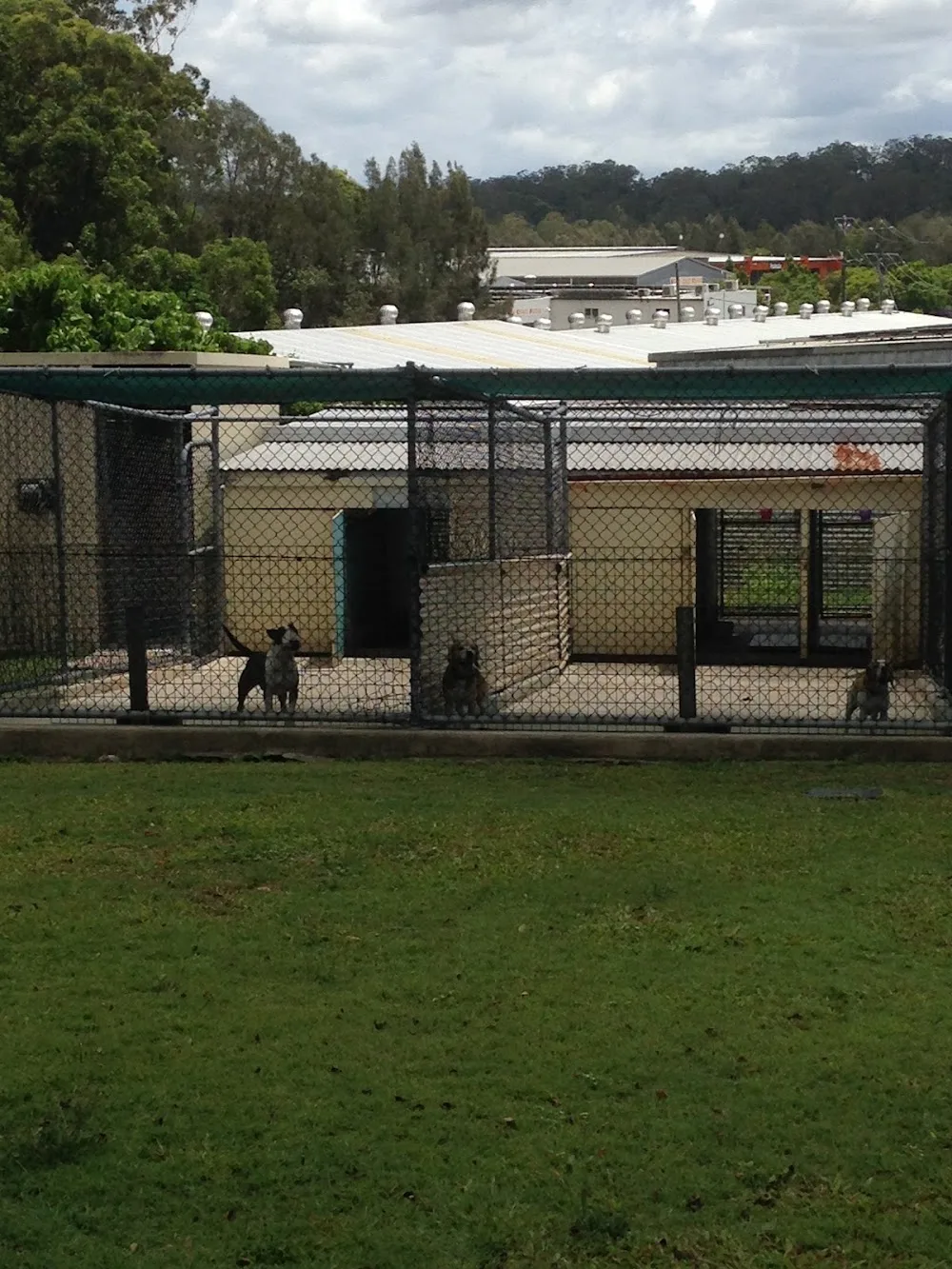 Maroochy Boarding Kennels - Queensland pet otel görseli 3