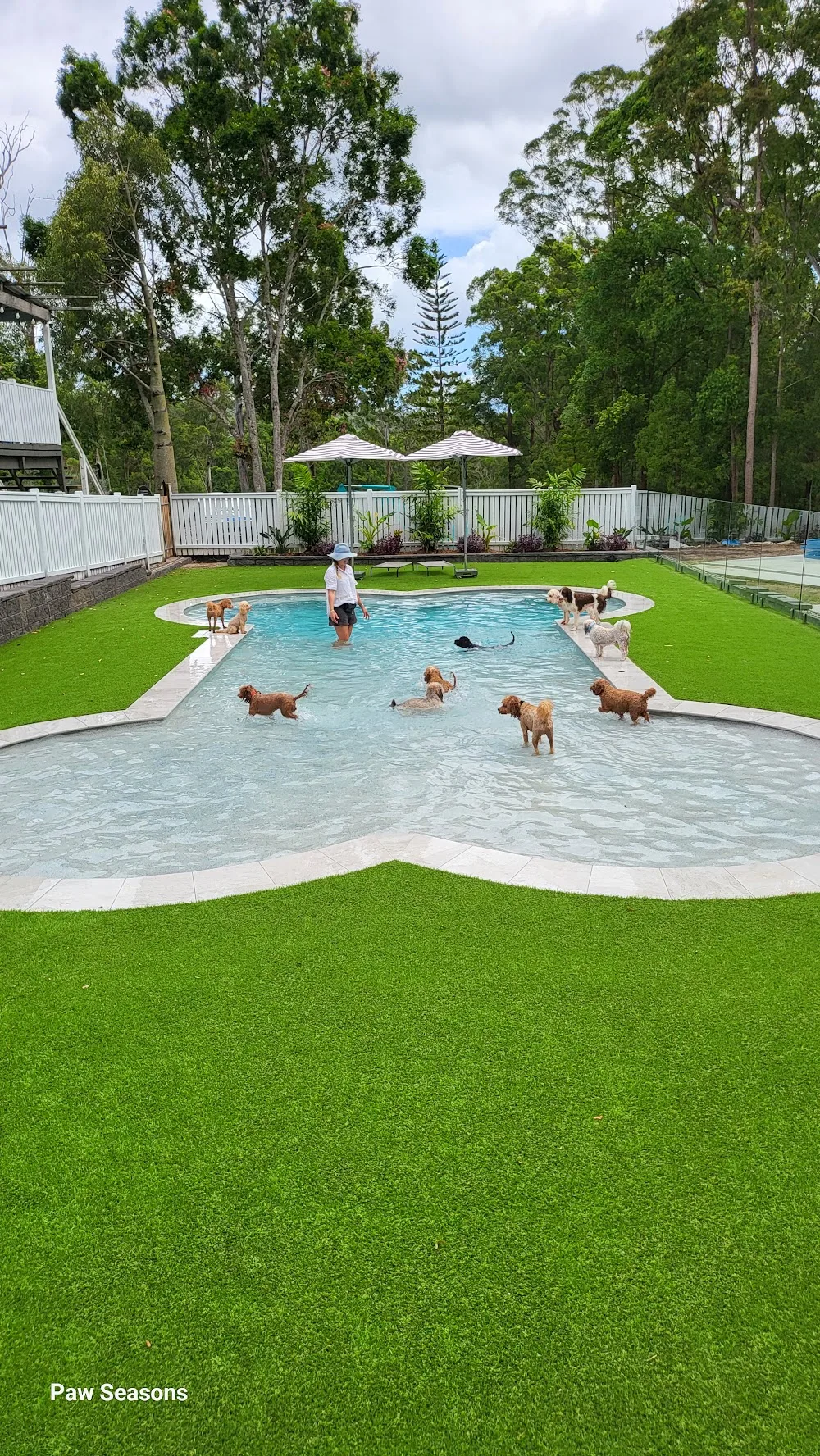 Paw Seasons® Resort & Daycare - Queensland pet otel