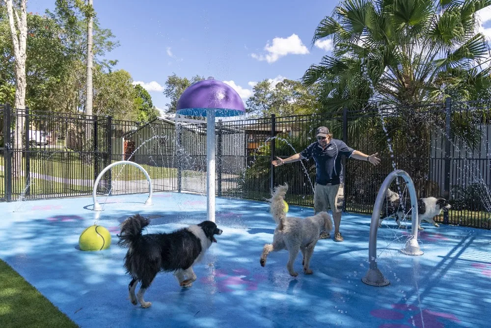 Pet Resorts Australia Eumundi-Noosa - Queensland pet otel görseli 2