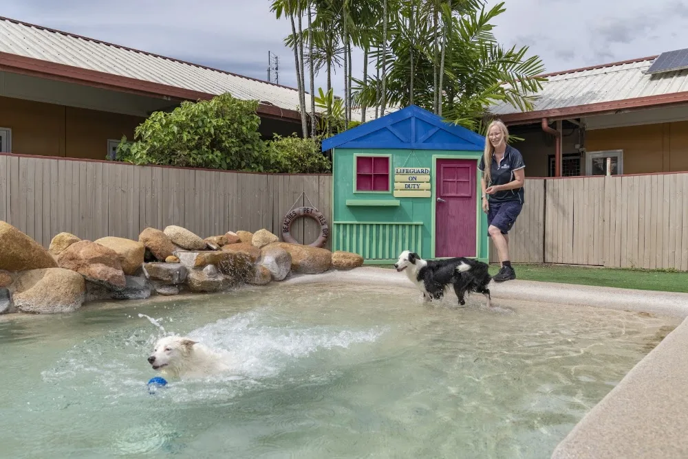 Pet Resorts Australia Townsville - Queensland pet otel görseli 2