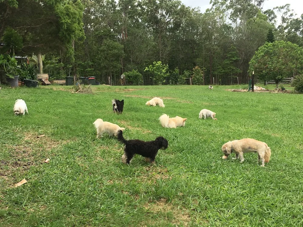 Puppy Tales Farmstay - Queensland pet otel görseli 3