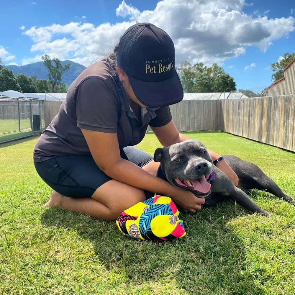 Townsville Pet Resort - Queensland pet otel görseli 3