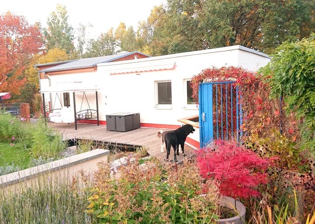 Profi - Hundeschule & Tierpension Dresden, Tierservice J. Waldek - Radebeul pet otel görseli 7