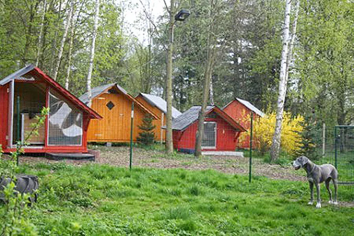 Hundeschule und Pension Beate Vogel - Radibor pet otel