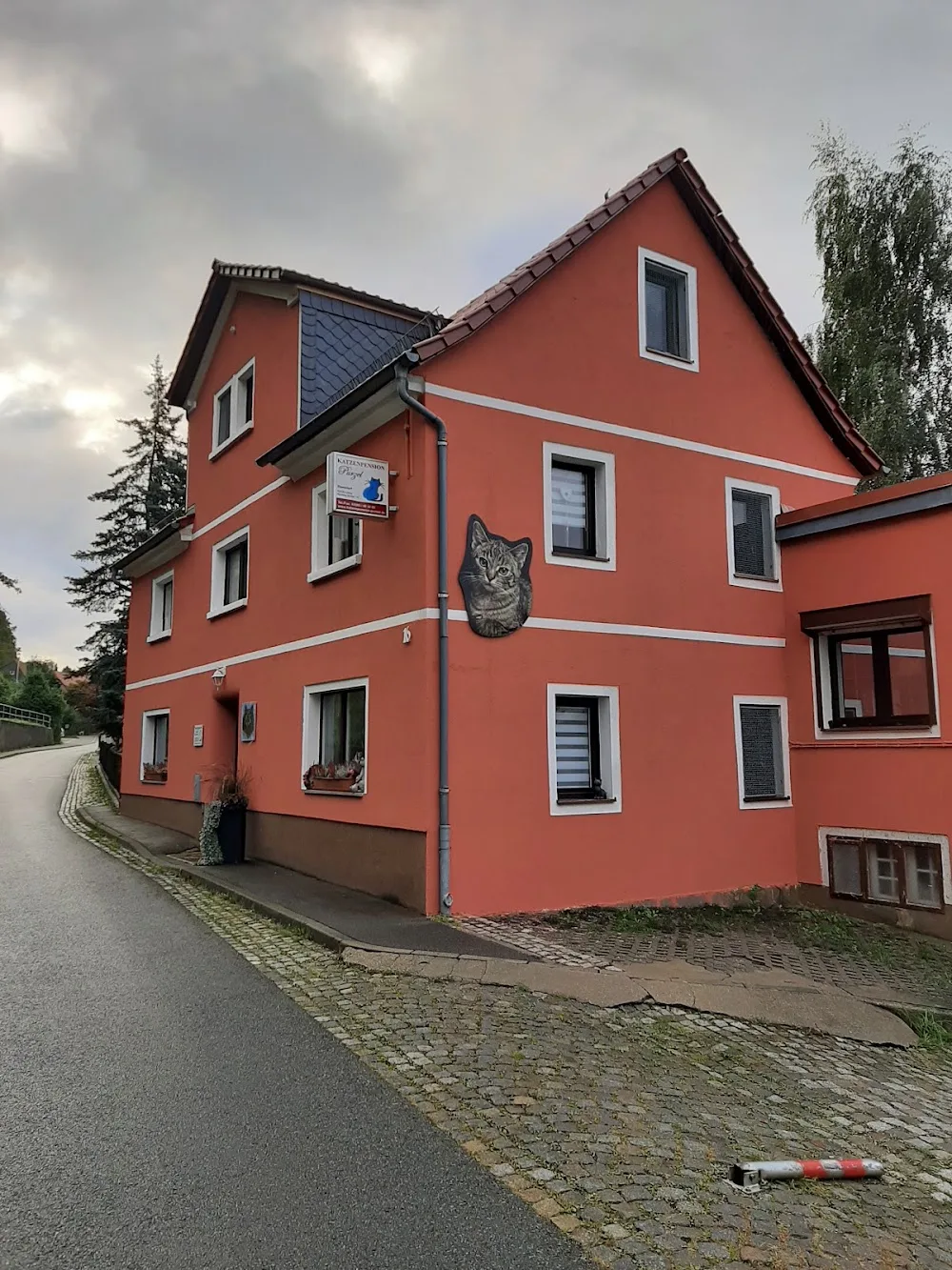 Katzenpension "Purzel" - Radibor pet otel görseli 3
