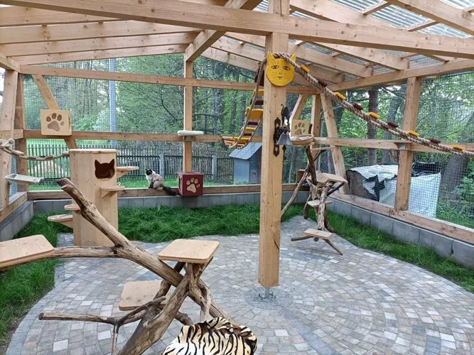 Katzenpension 's Mühlenkörble - Radibor pet otel görseli 7