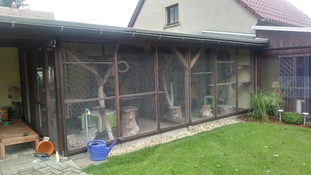 Miezekatze - Radibor pet otel görseli 2