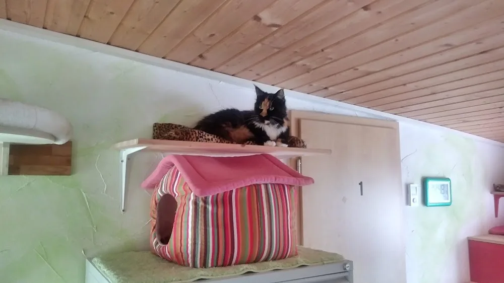 Miezekatze - Radibor pet otel görseli 3
