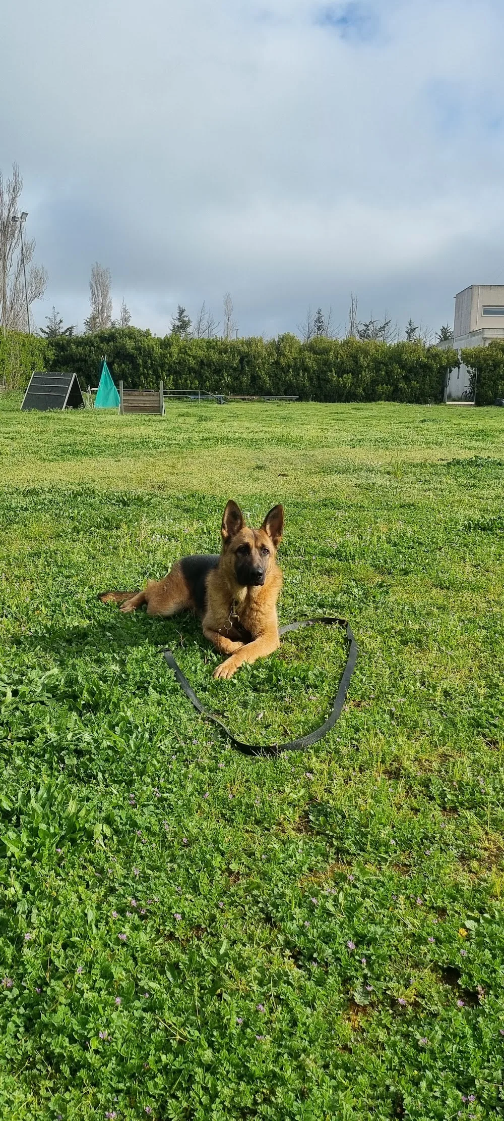 Accademia Del Cane di Daniele Petrolo - Ragusa pet otel