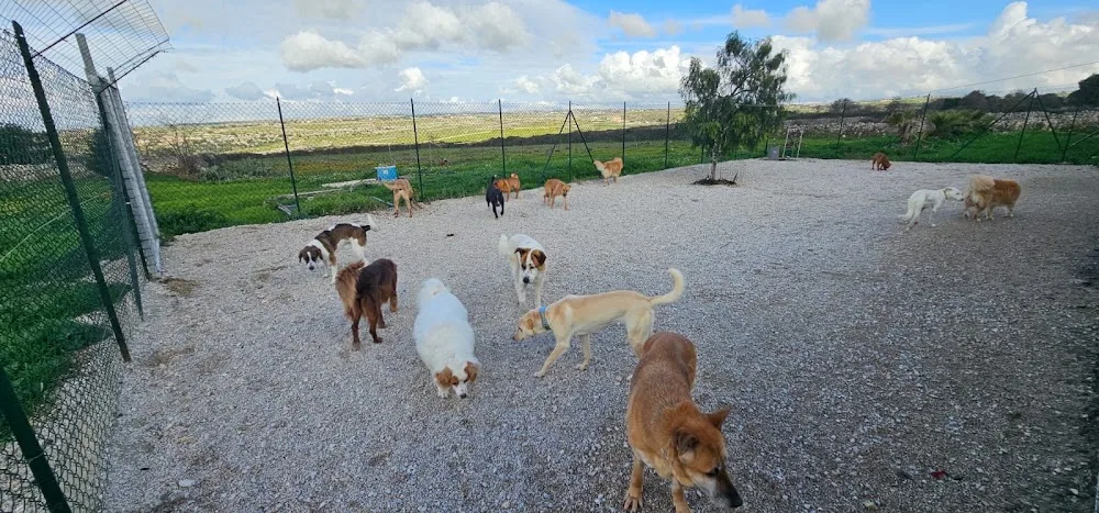 Il Giardino di Kira - Ragusa pet otel