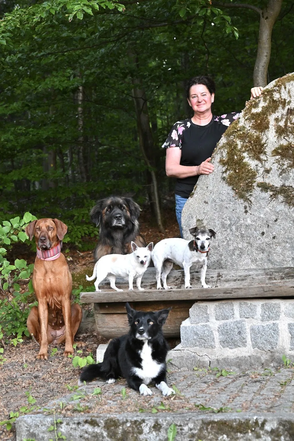 Gassiservice CARE4DOGS Hundebetreuung - Rangsdorf pet otel görseli 2